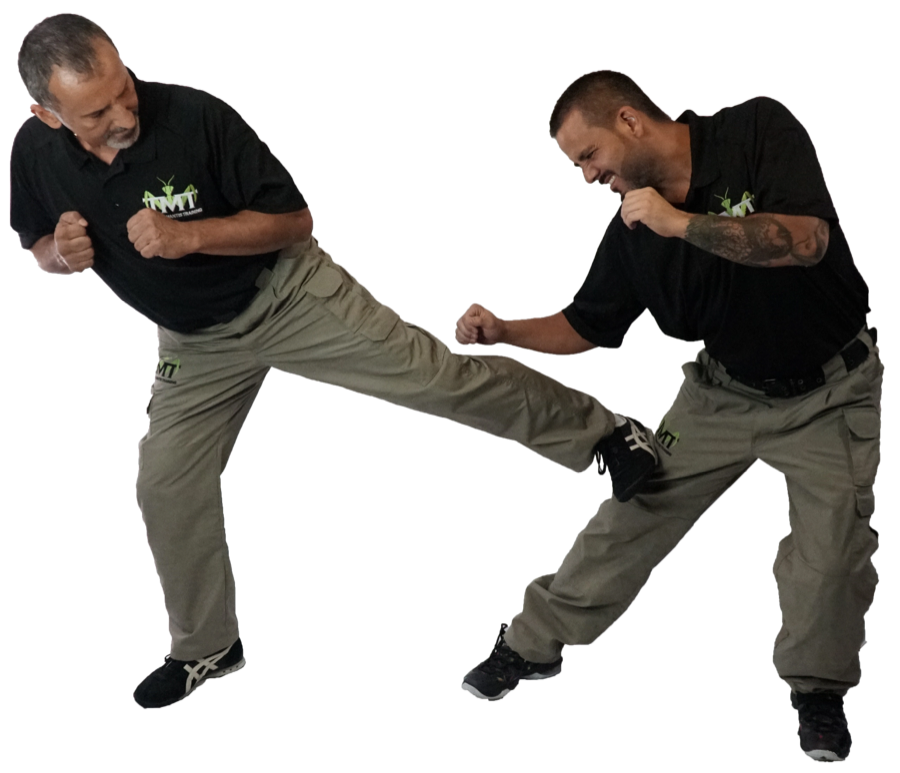 Two instructors demonstrating TMT self-defense block and kick technique